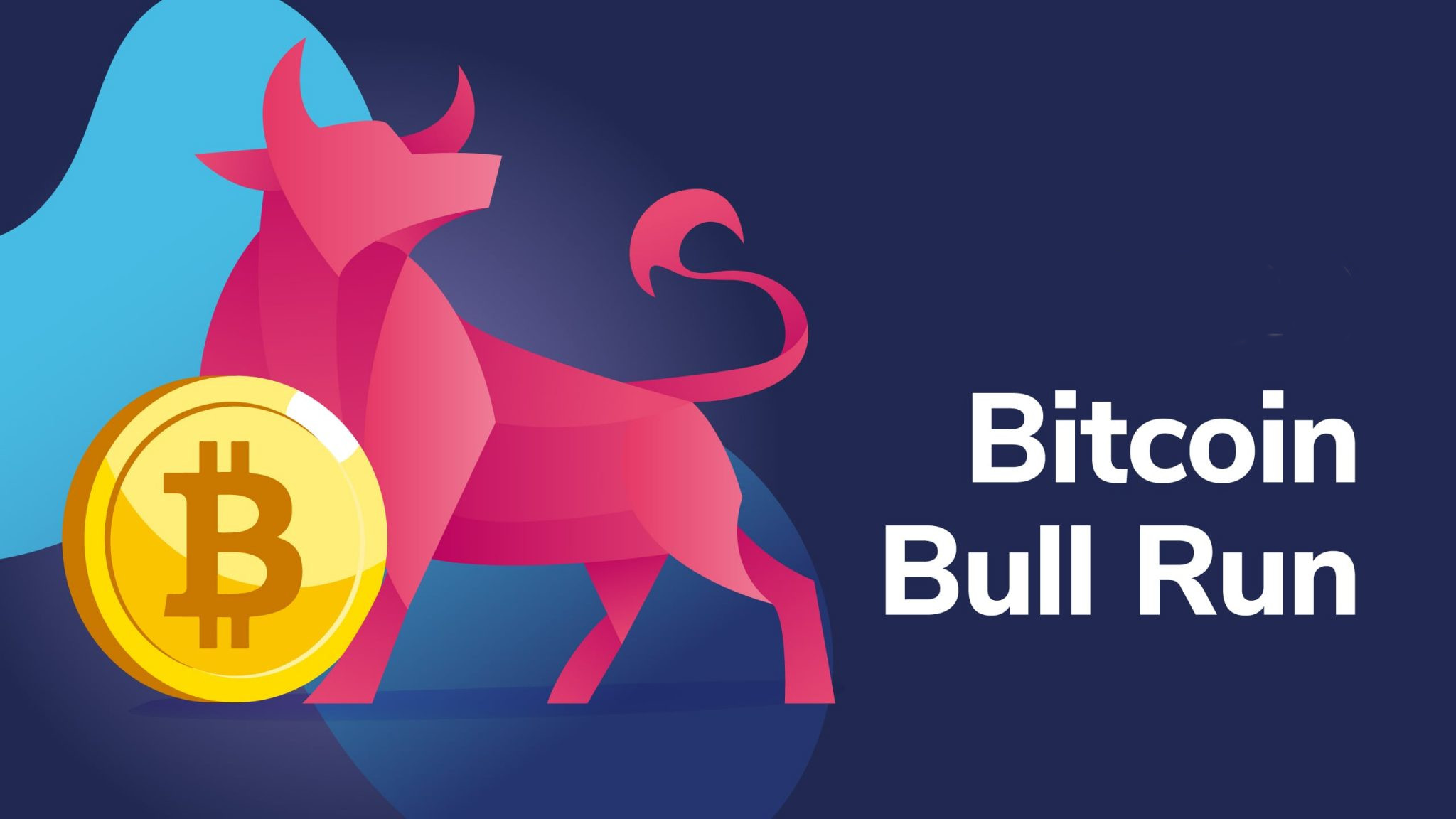 bitcoin Bull Runs